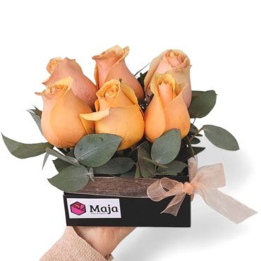 Box 6 Rosas