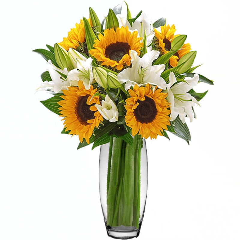 FLORERO VINCENT