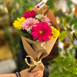 Ramo 6 Gerberas multicolor