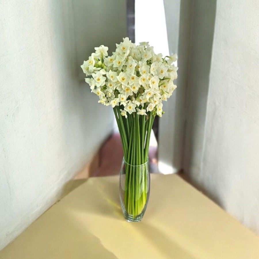 Florero con Junquillo
